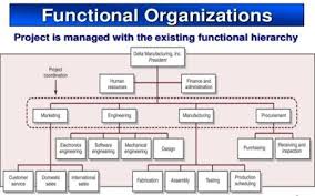 Functional Organizational Structure Of Project Organization