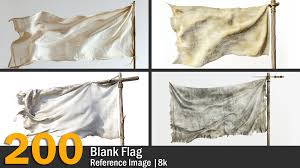 Image result for Reference Flags
