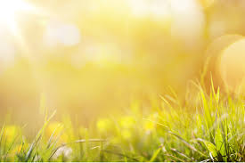 Résultat du taux élevé de déplétion des réserves (79. Passez Votre Chaudiere En Mode Ete Blog De Bretagne Multi Energies