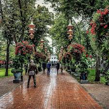 10 Cool Attractions On The New Orleans Garden District Tour New Orleans Travel New Orleans Garden District New Orleans Vacation