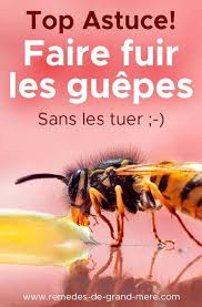 32 Idees De Guepes En 2021 Guepe Piege A Guepe Anti Guepe