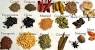 Printable List Of Spices