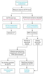 Physiological Basis For The Etiology Diagnosis And Treatment Of Adrenal Disorders Cushing S Syndrome Adrenal Insufficiency And Congenital Adrenal Hyperplasia Abstract Europe Pmc
