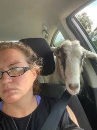 Diane Parrella's Instagram, Twitter & Facebook