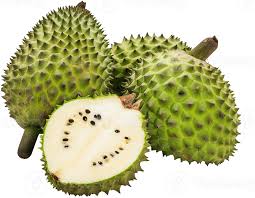 Image result for Annona muricata