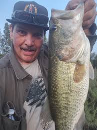 School of small fish gathering in Locklin water reserve