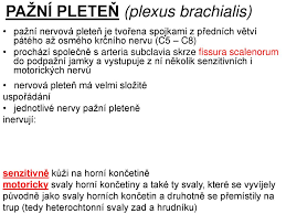 Ruky a mtcp kloubů n. Plexus Brachialis Ppt Stahnout