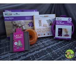 Nothing to say here, anne. Back To School For Cats Dogs With Interactive Puzzle Toys The Pet Beastro