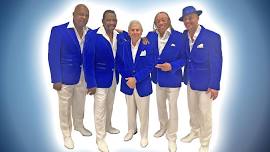Dancing In The Aisles - The Ultimate Motown Experience