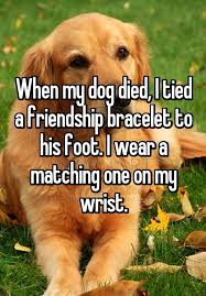 See More Here Https Www Sunfrog Com Search 53507 Search Love Dog When My Dog Died I Tied A Friendship Bracelet Susse Hunde Hundespruche Ich Liebe Hunde