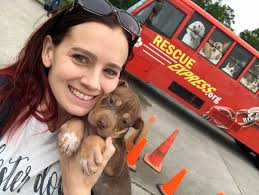 Why are there no interstate adoptions a lot of the time for dogs in  Australia?