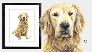 Who doesn't like to take funny pet portraits of their beloved pets? Thepaperpaw