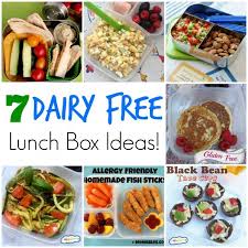 7 Dairy Free School Lunch Ideas Momables Recipe Dairy Free Lunch Dairy Free Snacks Dairy Free Kids Lunch