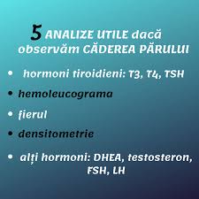Analize De Sange Care Sunt Cele Mai Importante și Interpretarea Lor Sfaturi Pentru Sănătate Păr Sănătos Sănătate