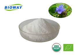 Image result for Cyanotis vaga