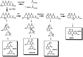 Worldremit sends more than 1 million mobile recharges per year. Domain Analysis Of The Molecular Recognition Features Of Aromatic Polyketide Synthase Subunits Journal Of Biological Chemistry