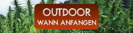 For outdoor growing, there is no clear cut answer. Outdoor Grow Ab Wann Hanf Aussetzen Cannabisanbauen Net