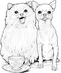 Coloring page with chihuahua dog. Chihuahua Coloring Pages Best Coloring Pages For Kids