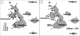 Changes in the temperature of water, characterized by rapid decline of food sources (known as el nino southern oscillations), are. The Distribution Of Galapagos Penguins Black Dots Within Eight Census Download Scientific Diagram