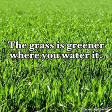 But it is definitely always greener where it's been watered. Quote Of The Day 7 30 20