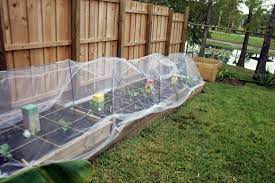 row covers using tulle raised garden beds garden beds raised garden