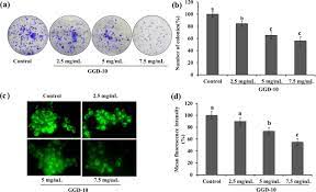 .word 2019 outlook 2019 powerpoint 2019 access 2019 word 2016 outlook 2016 powerpoint when you copy text that has different formatting into an office program, the program, such as to specify the format that you want to paste the slide, text, or object as, click paste, and then use the. Garlic Augments The Functional And Nutritional Behavior Of Doenjang A Traditional Korean Fermented Soybean Paste Scientific Reports