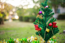 Check spelling or type a new query. Indoor Christmas Decoration 25 Gorgeous Garden Inspired Ideas