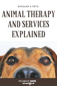 Animal Therapy And Services Explained Bphope Com Therapy Animals Emotional Support Dog Therapy Dogs
