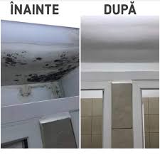 Locuri de munca in marghita. Noul Primar Din Marghita I A Scos La MuncÄ Pe Beneficiarii De Ajutoare Sociale Cum AratÄ Acum OrÄÈelul