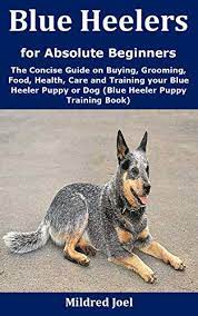 Blue heeler mix puppies for sale in pa and ohio! Blue Heelers For Absolute Beginners The Concise Guide On Buying Grooming Food Health Care And Training Your Blue Heeler Puppy Or Dog Blue Heeler Puppy Training Book Kindle Edition By Joel