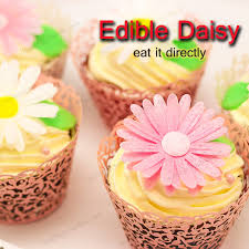 Edible Flowers Cake Decoration Double Daisies 12pcs 3d Edible Wafter Paper Daisy Flowers For Cake Decoration Cupcake Decorations Cake Decorating Flower Cake Decorationsflowers For Cake Aliexpress