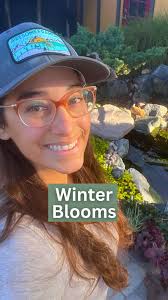 Why Hellebores Are the Perfect Choice for Winter Gardens