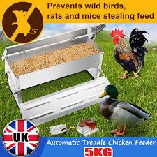 Rentacoop Automatic Treadle Feeder 25Lb - Outdoor & Rainproof