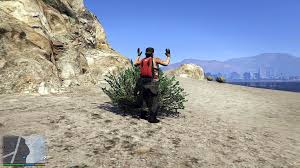 Exact location is shown on the screen. Bail Bonds Missions Gta 5 Wiki Guide Ign