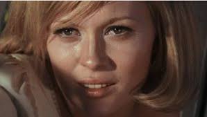 Celebrity, Cinema, History: Clyde Barrow and Bonnie Parker, Bonnie and  Clyde, The Highwaymen — Anthropoetics XXV, no. 2 Spring 2020