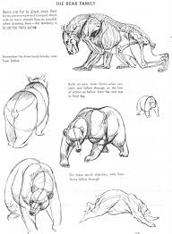 Art Of Animal Drawing Risunok Zhivotnyh Risunki Zhivotnyh Risovanie Eskizov