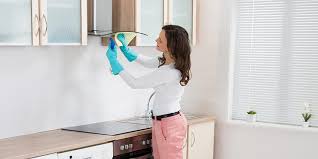 Exhaust fan housings & venturis. 7 Tips For Cleaning Maintaining Your Range Hood Compact Appliance