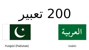 اللغه الباكستانيه