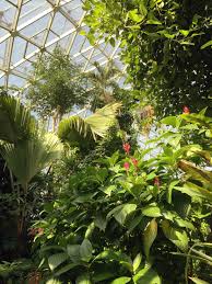 Missouri Botanical Garden St Louis Missouri Travel Daze Botanical Gardens Missouri Botanical Garden Botanical Gardens Near Me