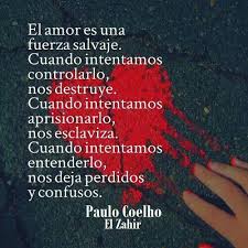 El Amor Es Una Fuerza Salvaje Palabras De Reflexion Palabras De Sabiduria Paulo Coelho