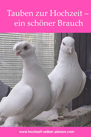 Tauben Hochzeit Viele Brauchtumer Begleiten Die Hochzeitsfeier Die Dem Jungen Paar Gluck Bringen Sollen Und Naturlich In 2020 Tauben Hochzeit Hochzeit Hochzeitsfeier