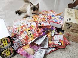 Catfood Panosundaki Pin