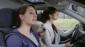 Febreze Car Vent Clips Tv Spot Pet Odors Febreze Car Car Vent Clip Car Vent