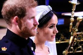 Princess Diana by author Susan Maxwell skinner