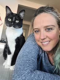 Adorable snowshoe cat at 8 weeks old