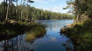 Här hittar du allt om aktiviteter, hotell, sevärdheter och evenemang. Erlebnisse Soralgens Camping