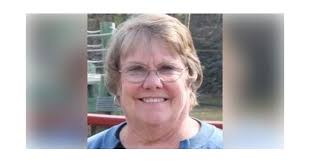 Sue Ann Meek Obituary (2023)