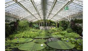 Zunächst befand er sich zwischen dem. Munchen Nymphenburg Von Der Isar An Den Amazonas Fuhrung Im Botanischen Garten Munchen Nymphenburg 30 08 2017