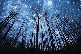 Resultado de imagen para las estrellas
