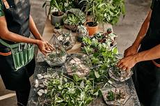 Women in Business Saffron Walden | Terrarium & Tipple